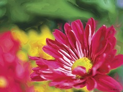 Painterly Flower VI