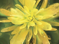 Painterly Flower VII