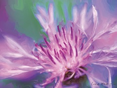 Painterly Flower VIII