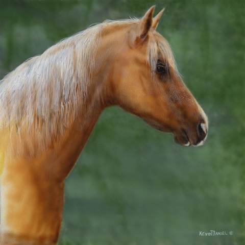 Palomino