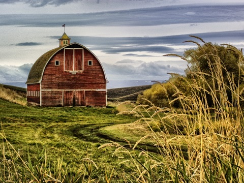 Palouse Barn