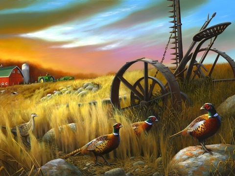 Pheasants I