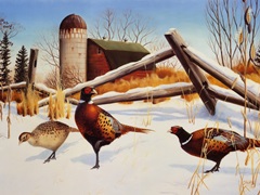 Pheasants II