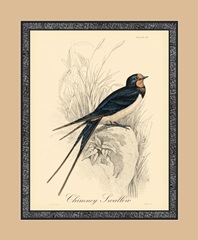 Printed Chimney Swallow