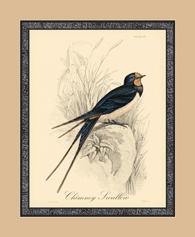 Printed Chimney Swallow
