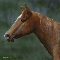 Quarter Horse