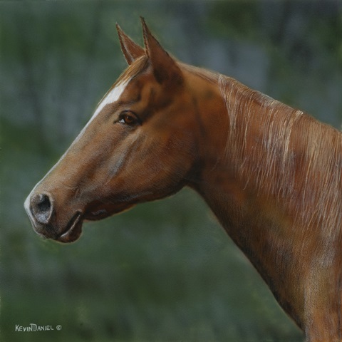Quarter Horse