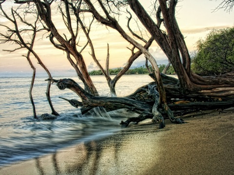 Reaching for the Sea I