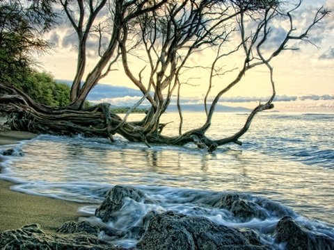 Reaching for the Sea II