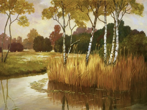 Reeds, Birches and Water II