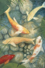 Reflecting Koi II