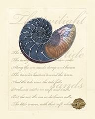 Romance of the Shell I