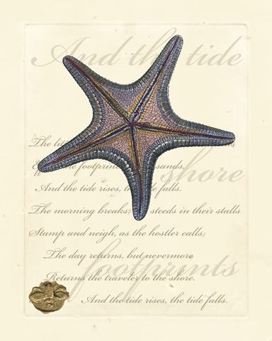 Romance of the Shell II