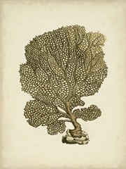 Sealife Collection VIII