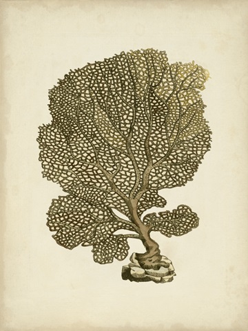 Sealife Collection VIII