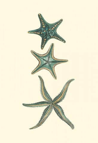 Aquamarine Starfish I