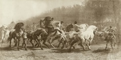 Horse Fair