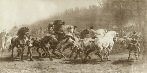 Horse Fair
