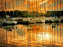 Marina Sunrise I