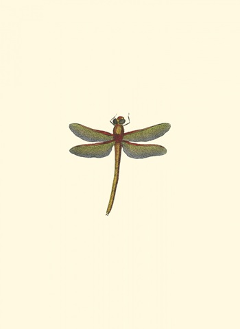 Miniature Dragonfly II
