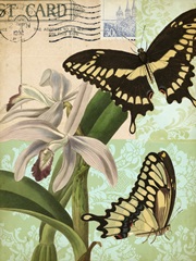 Nature's Tapestry II