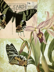 Nature's Tapestry IV