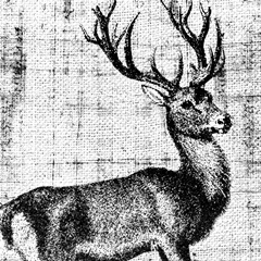 Northwest Territory I