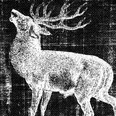 Northwest Territory II