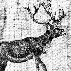 Northwest Territory III