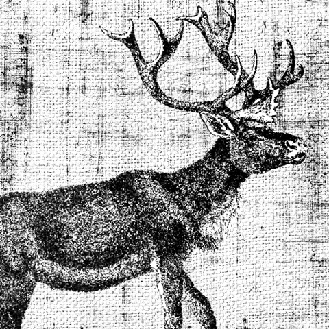 Northwest Territory III