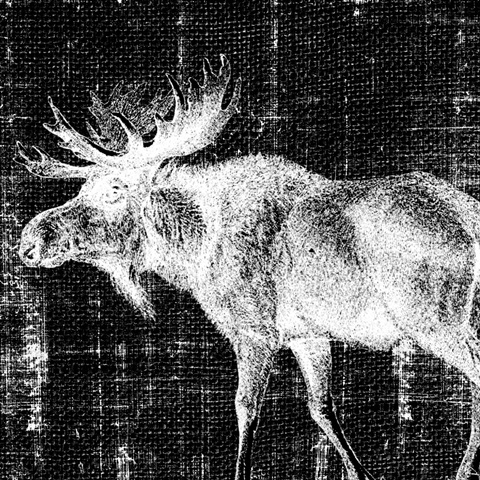 Northwest Territory IV