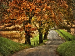 Rainy Morning on Hyatt Lane