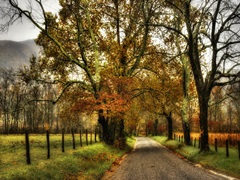 Rainy Morning on Sparks Lane