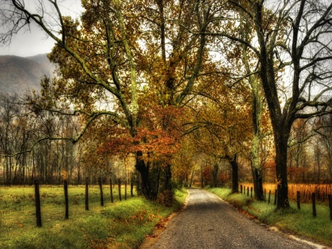 Rainy Morning on Sparks Lane