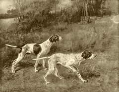 Rip Rap and Lad of Rush