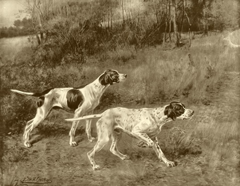 Rip Rap and Lad of Rush