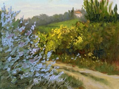 Rosemary by the Road