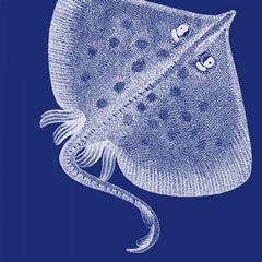 Saturated Sea Life III