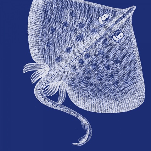 Saturated Sea Life III