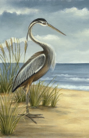 Shore Bird I