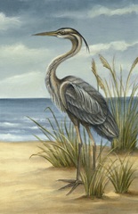 Shore Bird II