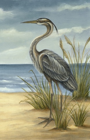 Shore Bird II