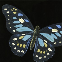 Small Dramatic Butterflies II