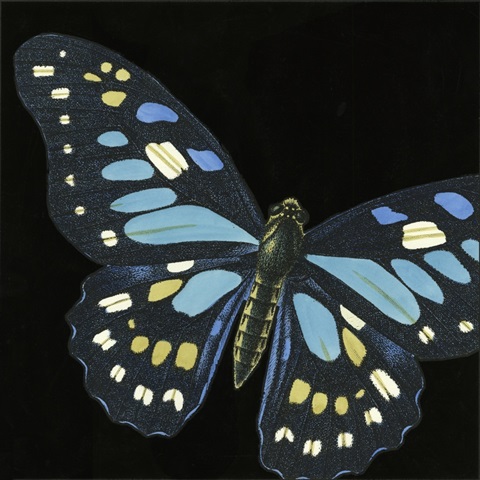 Small Dramatic Butterflies II