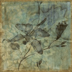 Small Ethereal Wings I