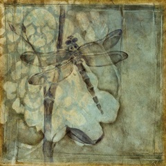 Small Ethereal Wings III