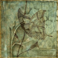 Small Ethereal Wings V