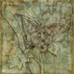 Small Ethereal Wings VI