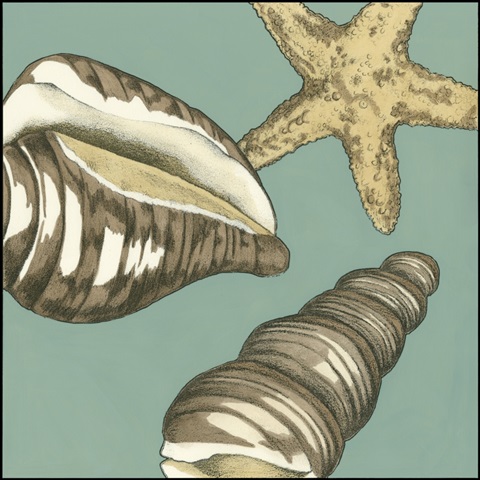 Small Shell Trio on Blue I