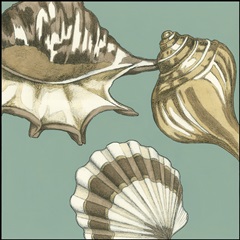 Small Shell Trio on Blue III